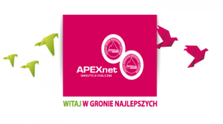 ApexNet logo